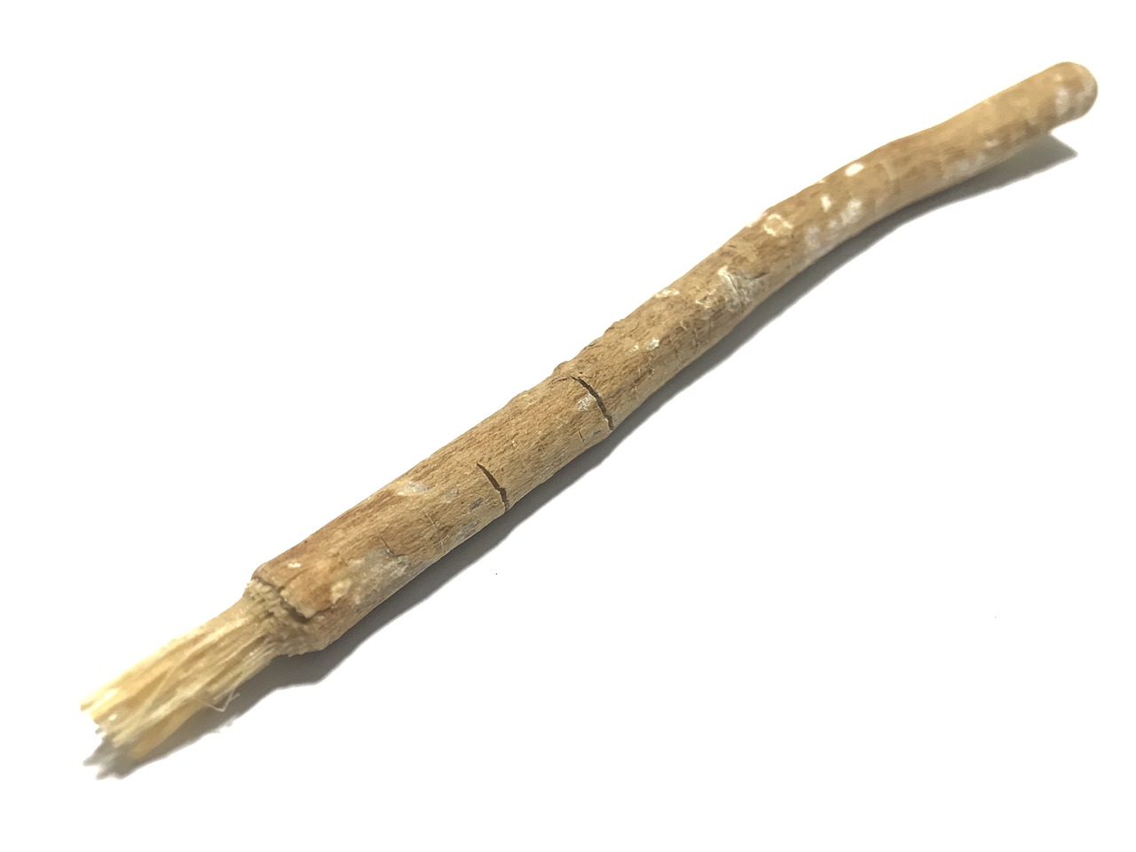 miswak-g5944cc11b_1280